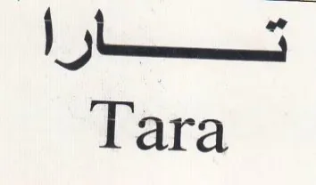 Nicci Tara trademark logo