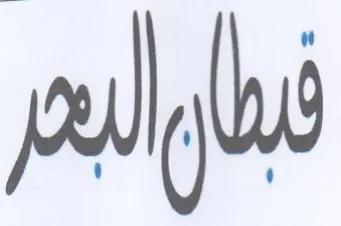 pls trademark logo