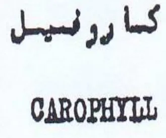 CAROPHYLL كسا رو نسيل trademark logo