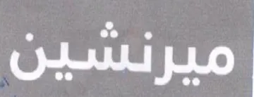 (figurative mark) trademark logo