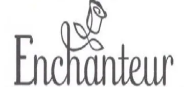 Ff nt trademark logo