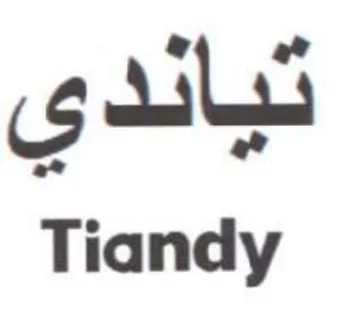 gals Tiandy trademark logo
