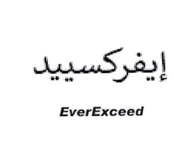 EverExceed يفركسييد trademark logo