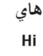 Hi هاي trademark logo