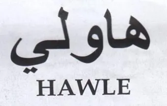 هاولي trademark logo