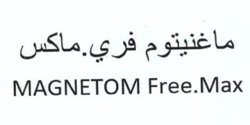 MAGNETOM Free.Max ماغنيتوم فري trademark logo