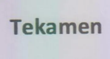 Tekamen trademark logo