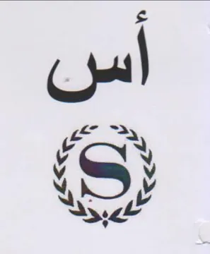 WMI LS trademark logo