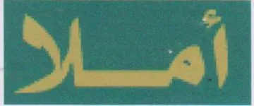 Sel trademark logo