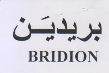 BRIDION بريديسن trademark logo