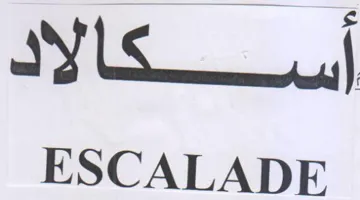 ESCALADE trademark logo