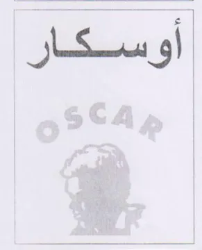Sas trademark logo