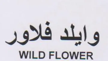 WILD FLOWER وايلد فلاور