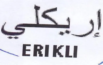 Sy trademark logo