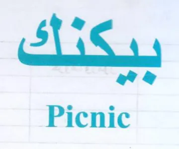 we Picnic trademark logo