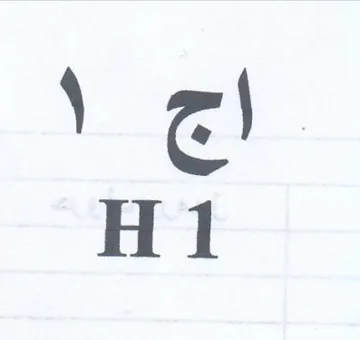 es H1 trademark logo