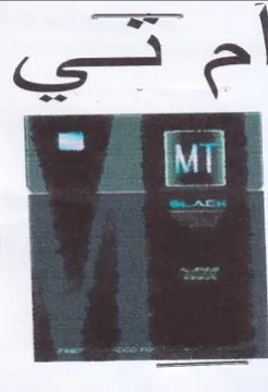 iva trademark logo