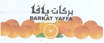 BORKAT VALI trademark logo