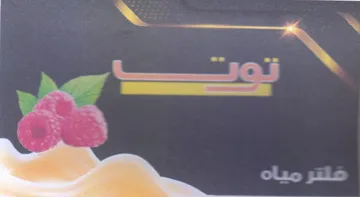 ilies trademark logo