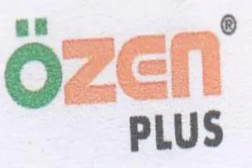 PLUS trademark logo