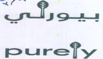 erulsoces purefy trademark logo