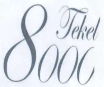 Tiel WN trademark logo
