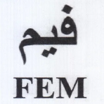 FEM يد trademark logo