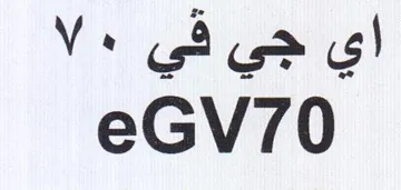 eGV70 اي جي في trademark logo