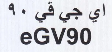 eGVv90 trademark logo