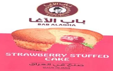 sts BAB ALAGHA Wii trademark logo