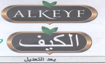 ALICE Y FY trademark logo