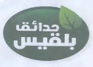 ey trademark logo