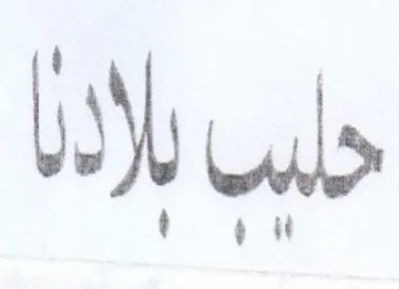 my حلي trademark logo