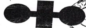 (figurative mark) trademark logo