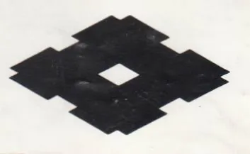 SS trademark logo
