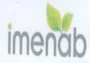 iment trademark logo