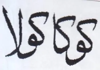 WSS trademark logo