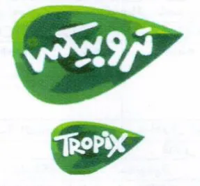 CS trademark logo