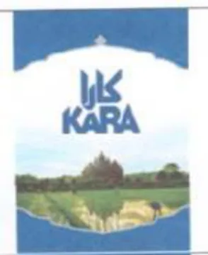 or KARA eons trademark logo