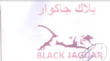 (figurative mark) trademark logo