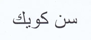 سن كويك trademark logo
