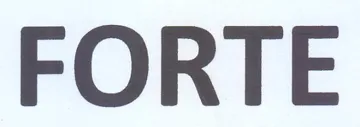 FORTE trademark logo