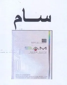 (figurative mark) trademark logo