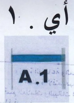 AA أي trademark logo