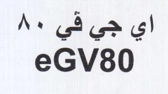 اي جي في trademark logo