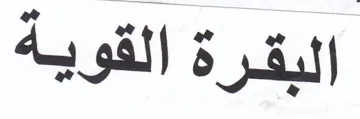 البقرة القوية trademark logo