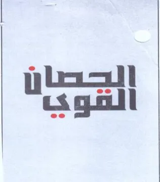 (figurative mark)
