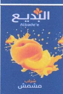 91 trademark logo