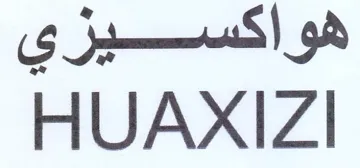 HUAXIZI trademark logo