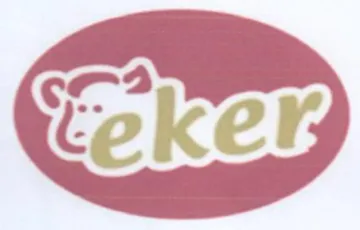 (figurative mark) trademark logo